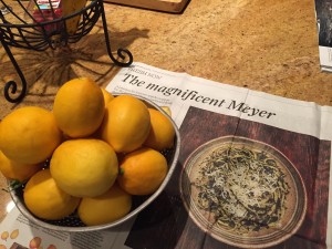 Meyer Lemon Mania!